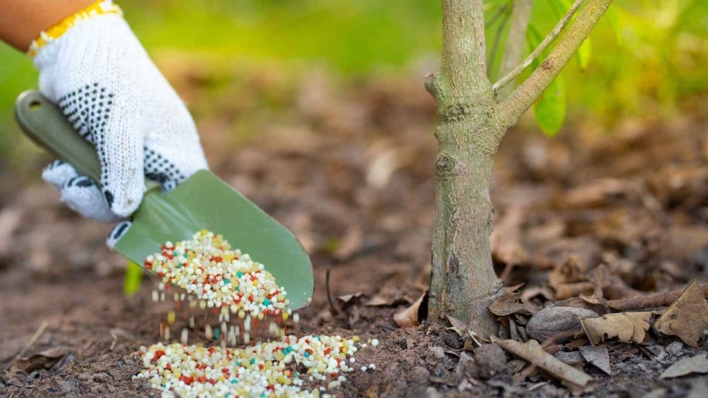 Shrub & Tree Fertilization - Augusta Grass Masters