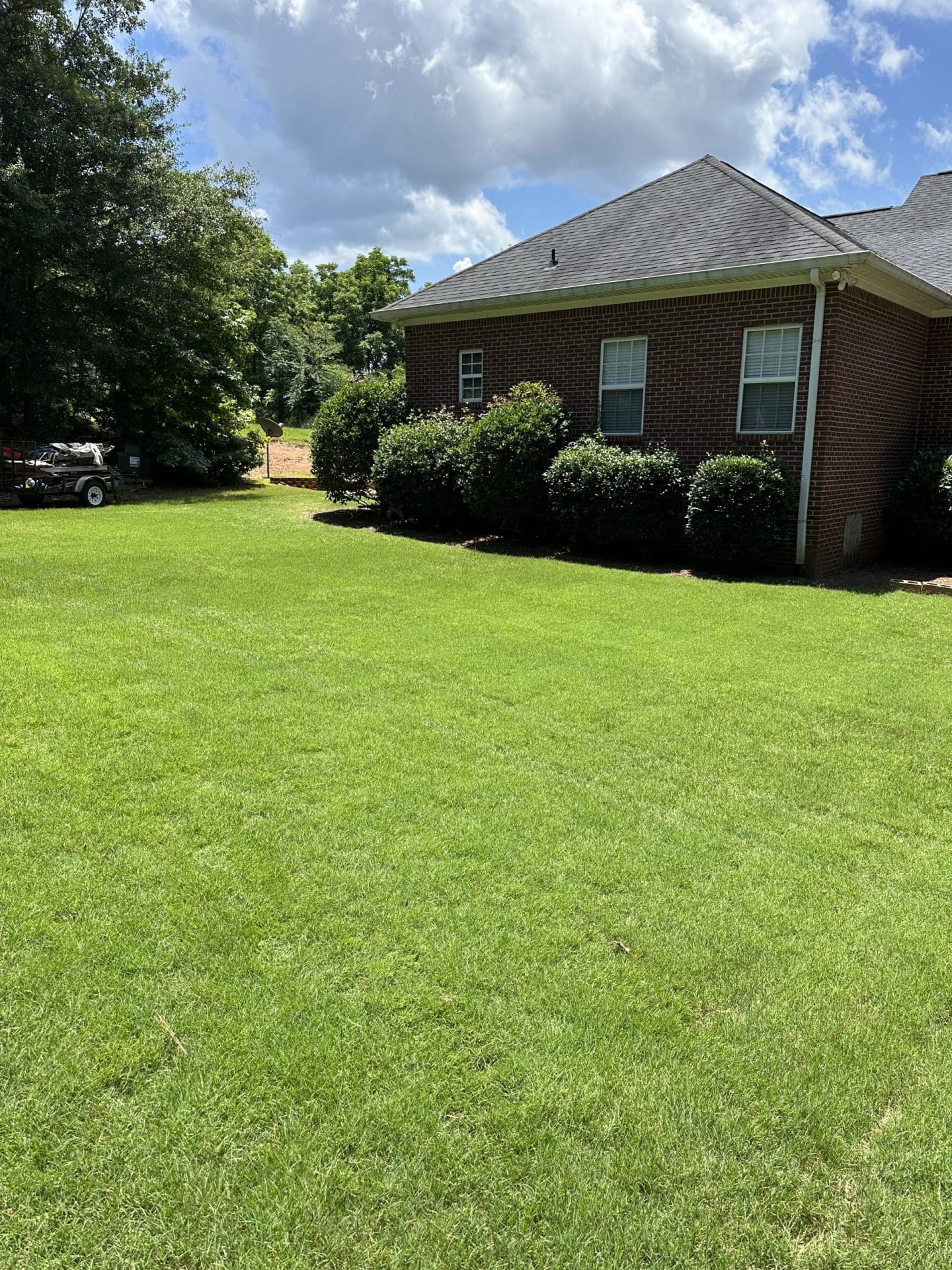 Lawn care service in Georgia with healthy residential lawn