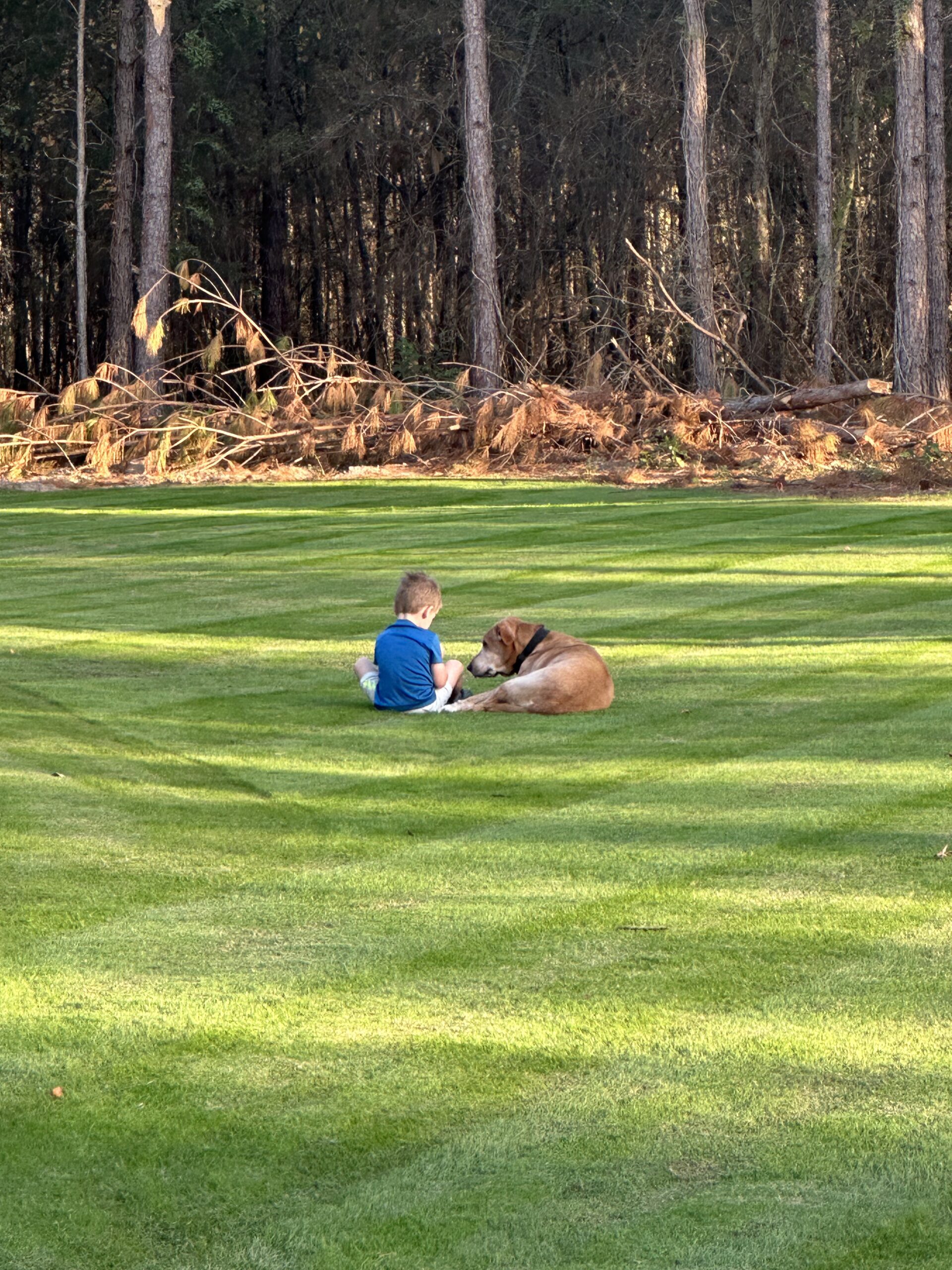 Lawn care service in Georgia with family relaxing on lawn