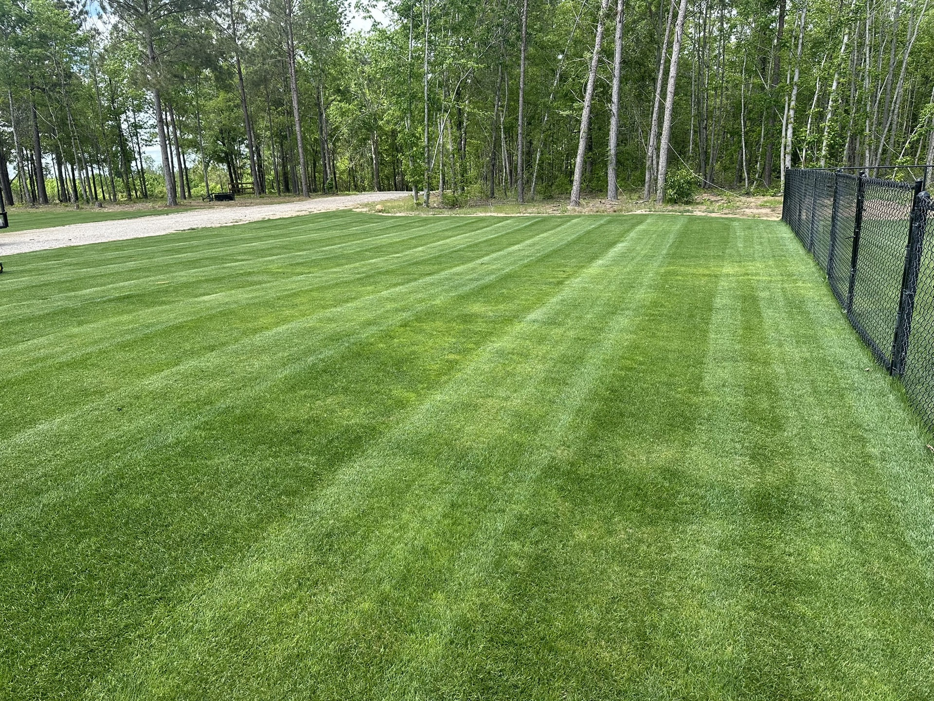 Gallery - Augusta Grass Masters