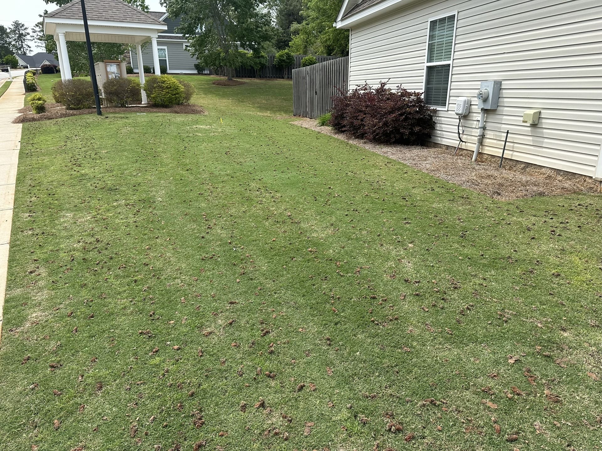 Gallery - Augusta Grass Masters