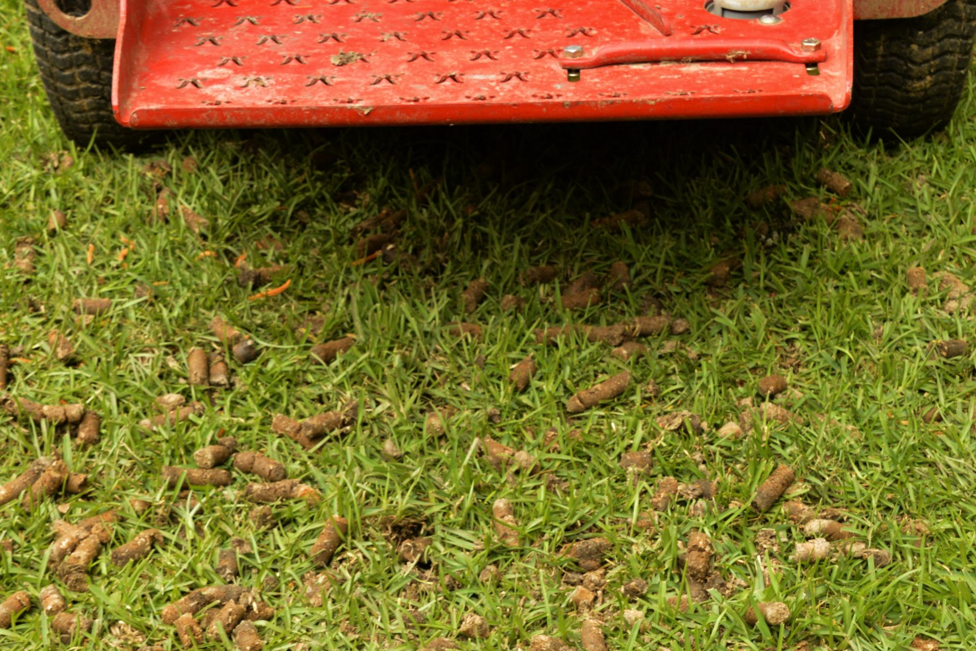 Thomson, GA - Augusta Grass Masters